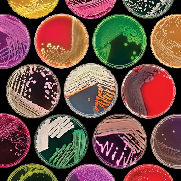 CLINICAL MICROBIOLOGY & IMMUNOLOGY